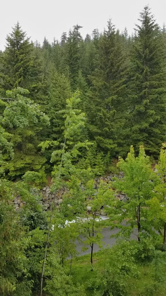 View from the Legends Creekside at Whistler