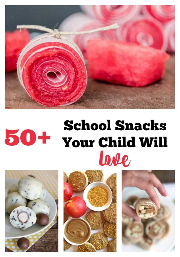 Here are 50+ ideas of Back to School Snacks that your Child Will Love for their lunch or an after school snack!