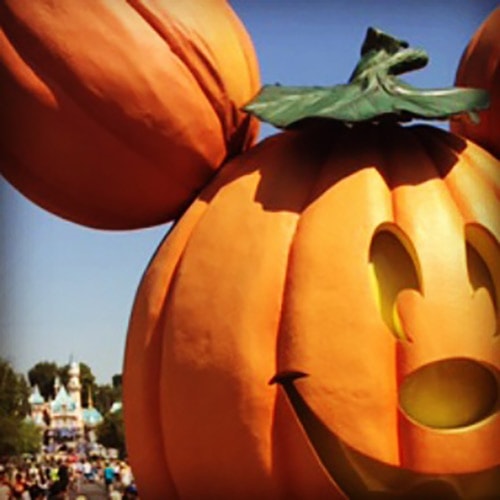 Disneyland-Halloween-Time-2016-Pumpkin