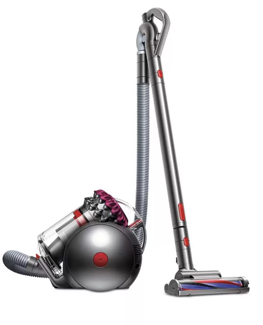 Dyson Animal Canister Vacuum