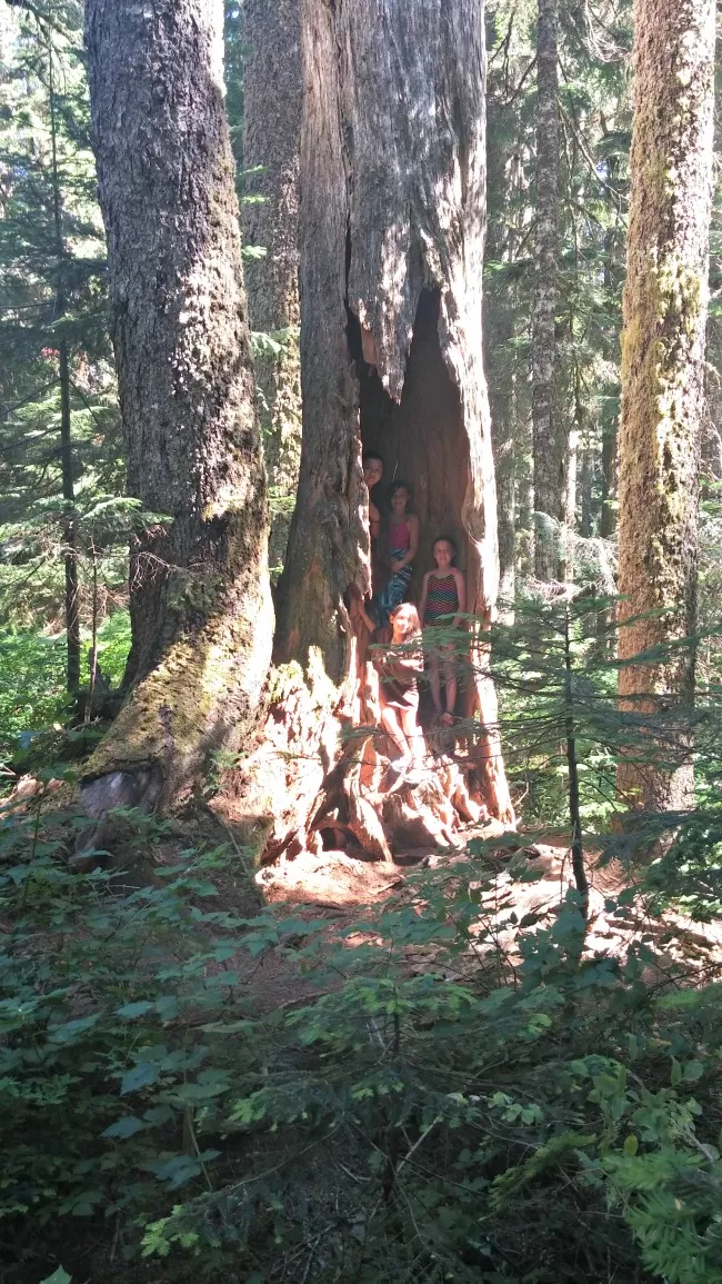 denny creek trails