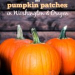 Check out this list of Pacific Northwest Fall Festivals and Pumpkin Patches for family fun in Washington & Oregon.