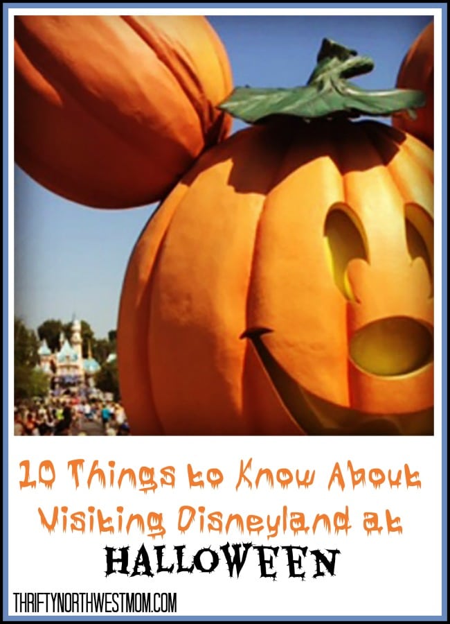 Disneyland Halloween 2023 – Everything You Need To Know About Visiting + Tips for The Oogie Boogie Bash