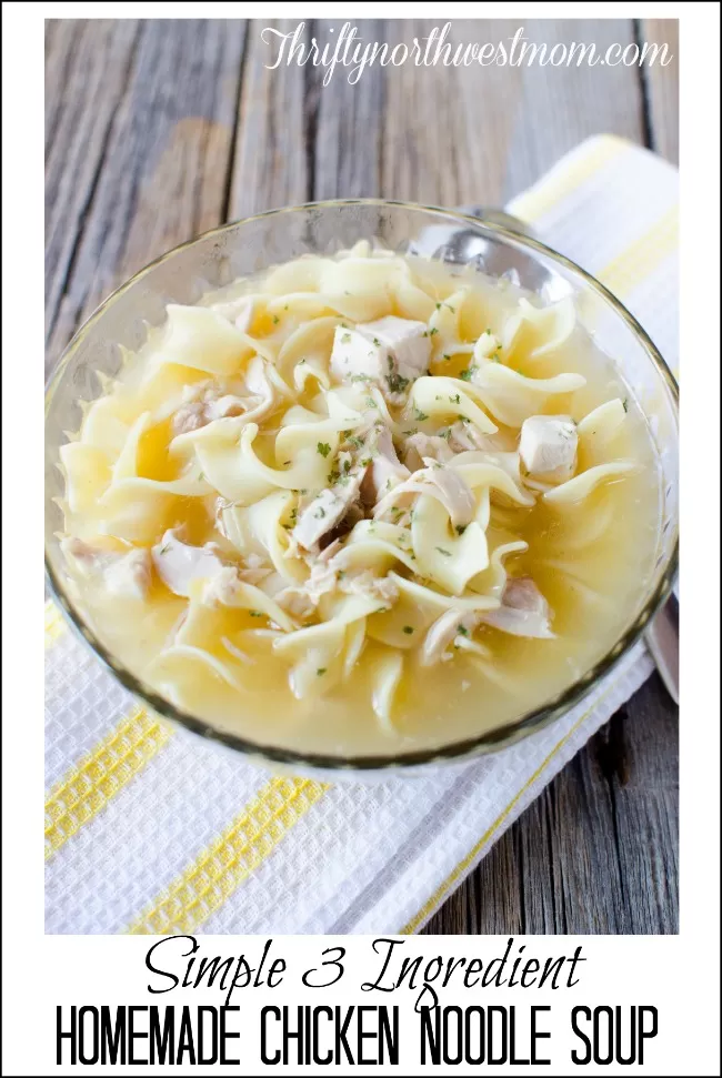 Easy Chicken Noodle Soup Mix in a Jar - Food Storage Moms