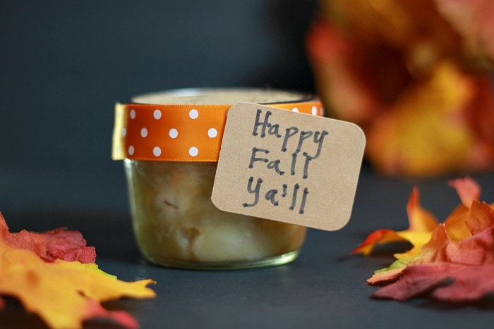 Mason Jar Pies decorated with Ribbon