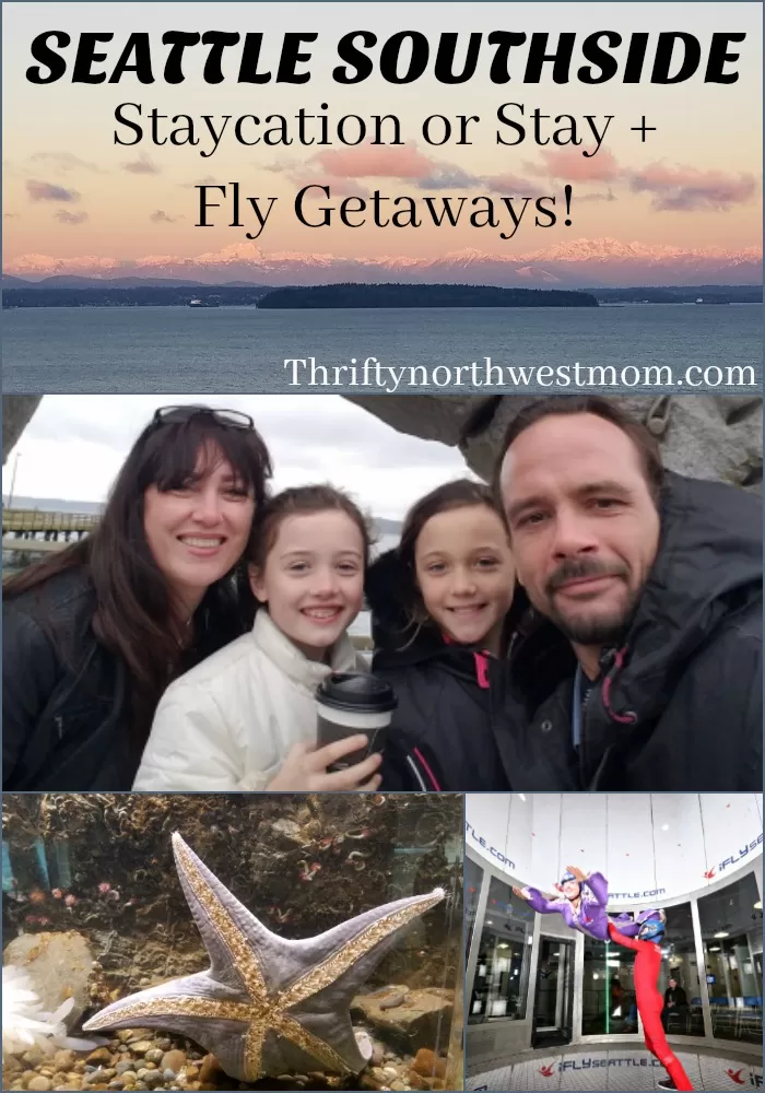 SouthSide of Seattle – Park, Stay & Fly or Staycation Ideas – So Much To Do for Families!