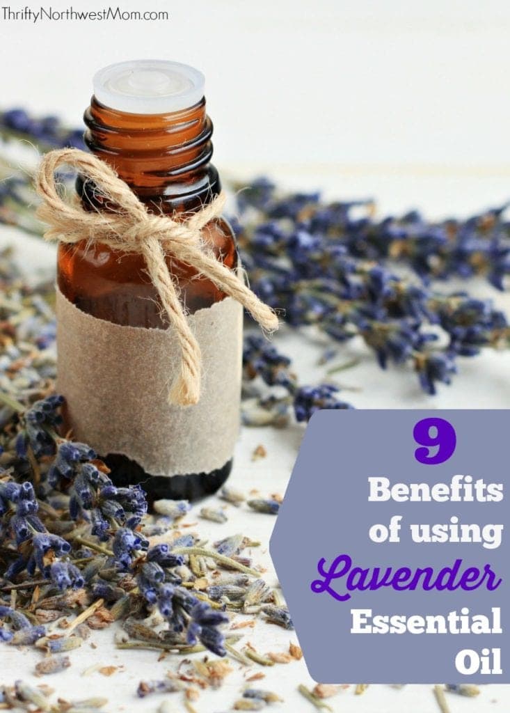 Lavender Essential Oil Uses – 9 Amazing Benefits of Lavender Essential Oil and How to Use It!
