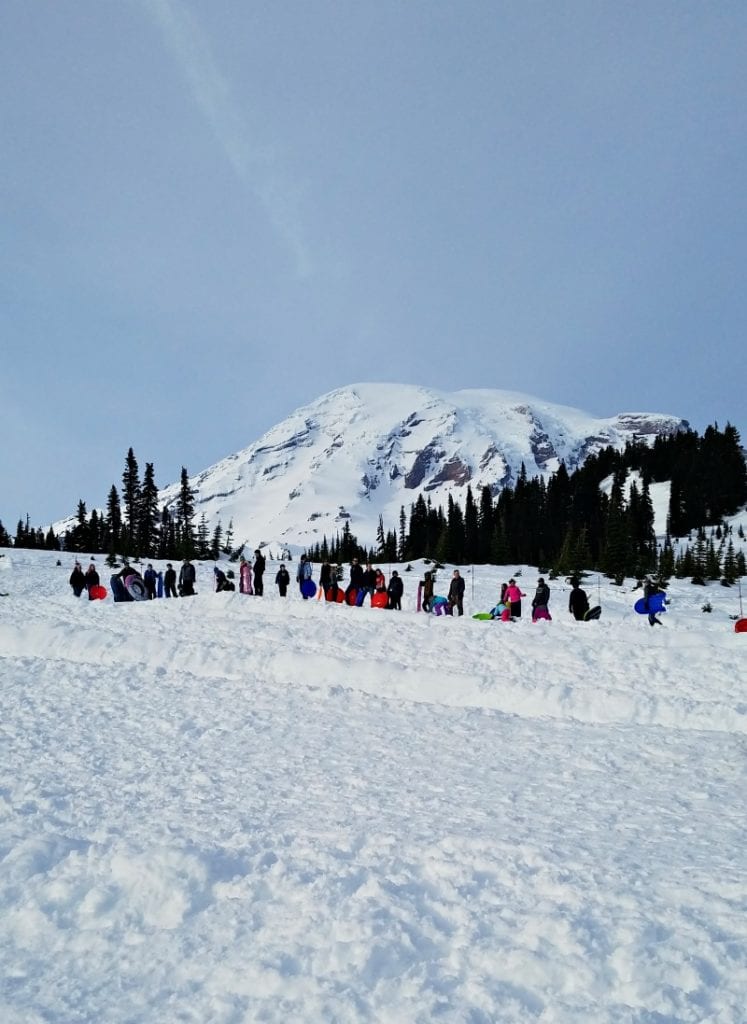 Mt Rainier Sledding Runs