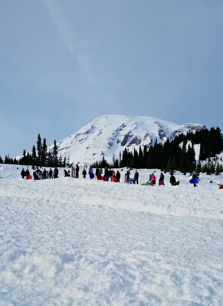 Mt Rainier Sledding Runs