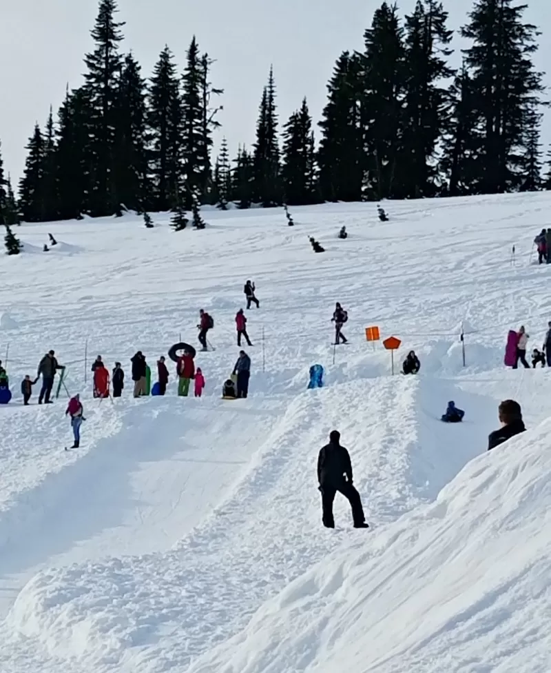 Sledding fun at Mt Rainier