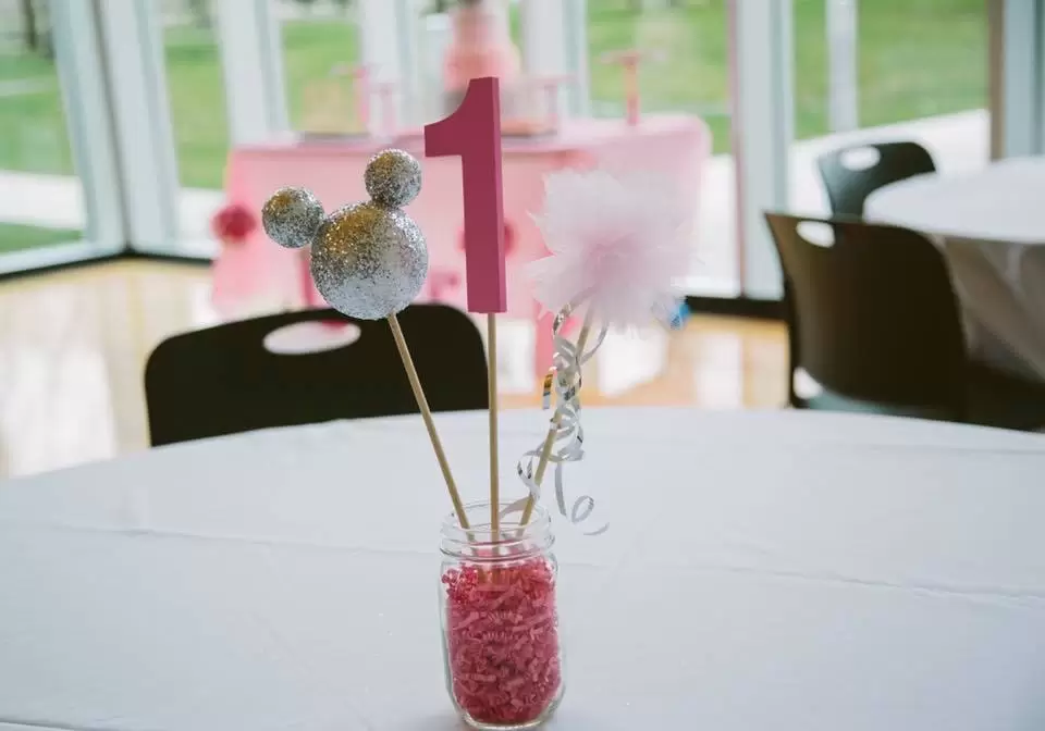 Minnie Mouse Party Decor