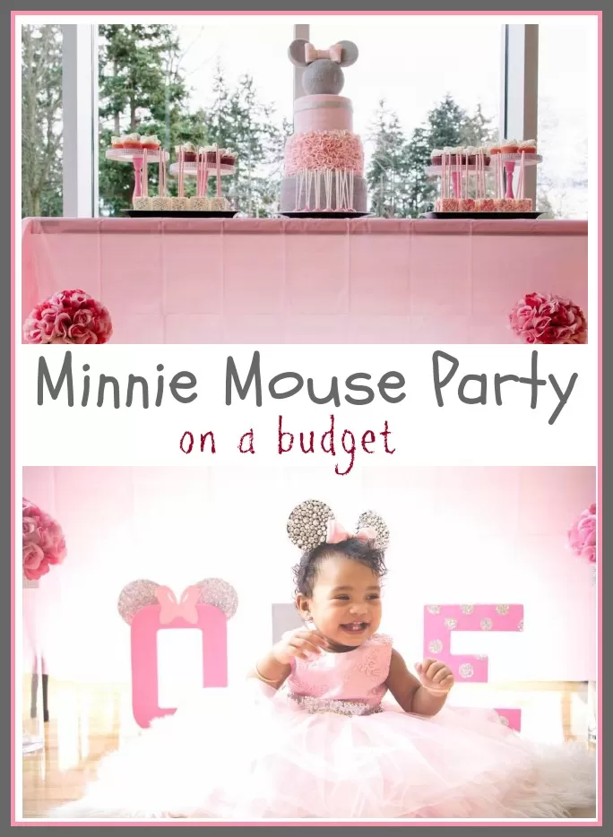 Minnie Mouse Birthday Party