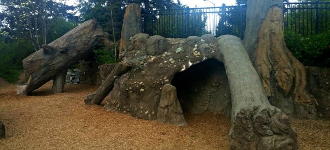 Discovery Playground Tacoma Nature Center