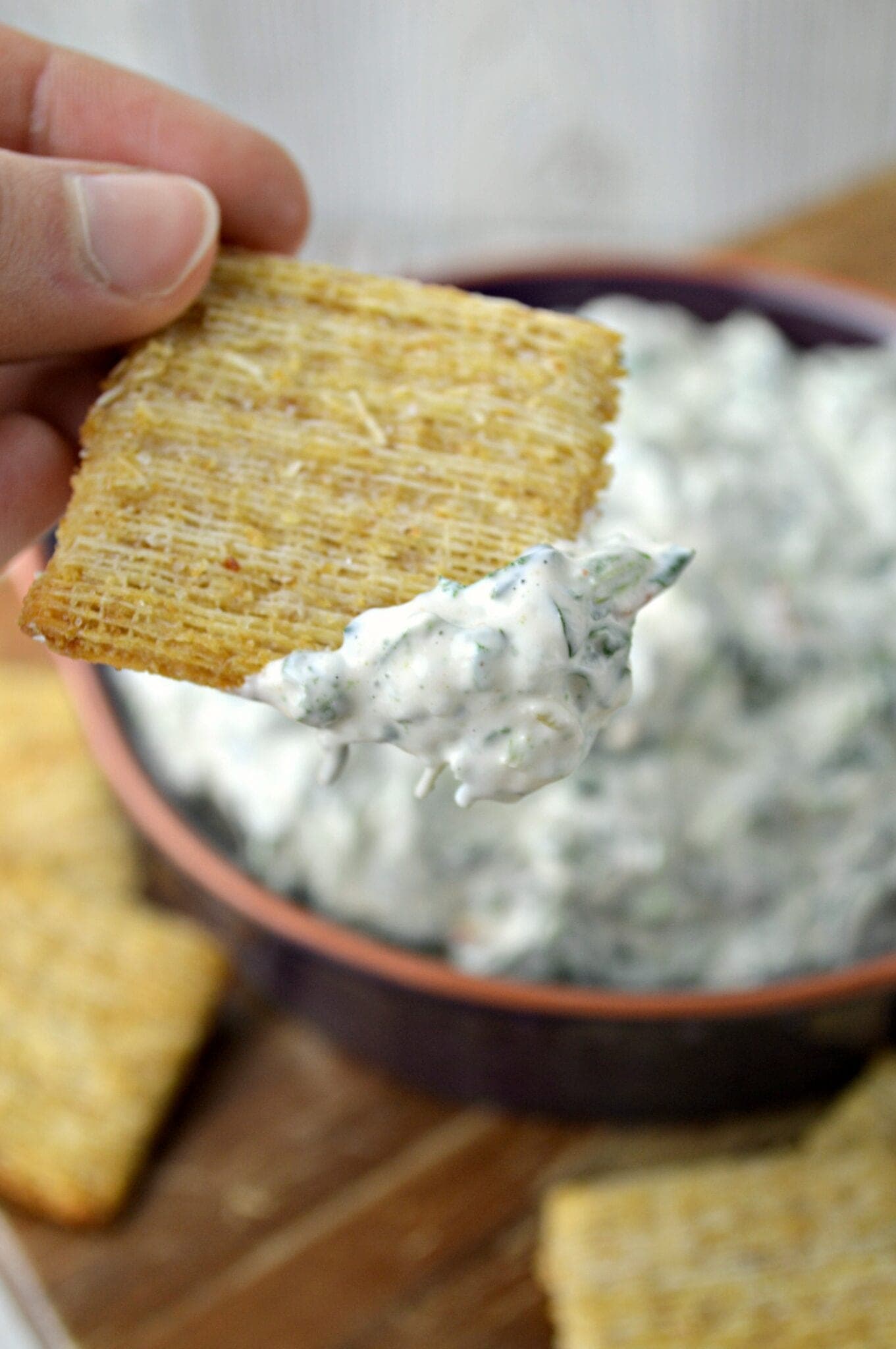 Easy To Make Cold Spinach Dip Recipe! - Thrifty NW Mom