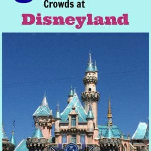 5 Tips for Managing Large Crowds at Disneyland