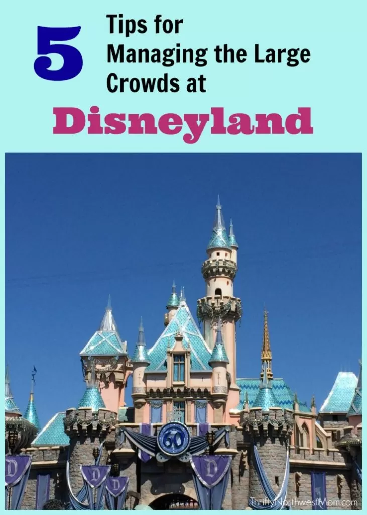 Disneyland Crowds – 5 Tips for Managing the Large Crowds On Your Visit