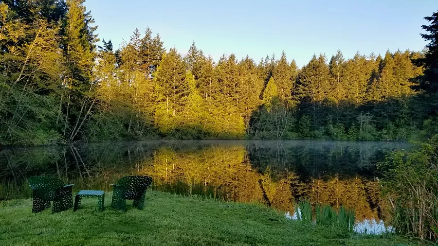 Lake Views at Lakedale Resort