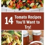Tomatoes: Recipes for the Tomato Lovers – Everything from Stuffed Tomatoes, Sun Dried Tomato Meatballs & more!