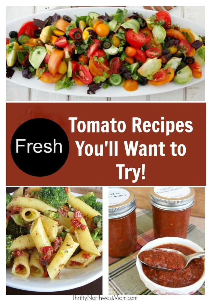 Fresh Tomato Recipes for the Tomato Lovers – Simple & Healthy Meals You Will Love!