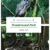 Wonderwood Park Review in Lacey WA