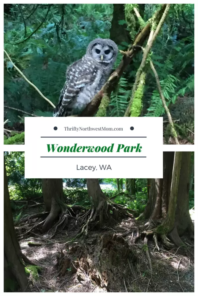 Wonderwood Park – Lacey, WA