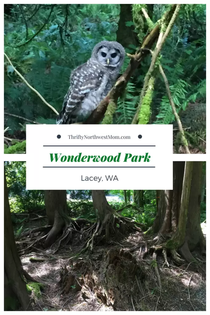 Wonderwood Park Review in Lacey WA