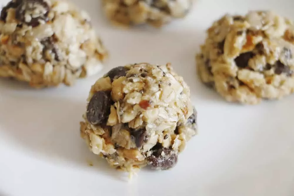 No Bake Trail Mix Energy Bites