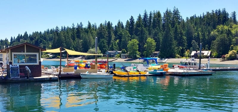 Marina at Alderbrook Resort