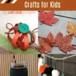 15+ Fall Crafts for Kids To Use Around Your Home