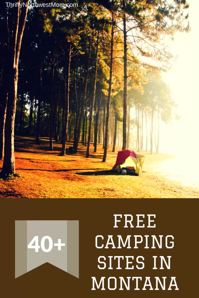 Check out these 40+ campground sites for free camping in Montana to save money on your camping trip