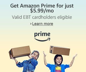 Amazon Prime Deals - as low as $5.99 / Month (EBT Card Holders) & More! - Thrifty NW Mom