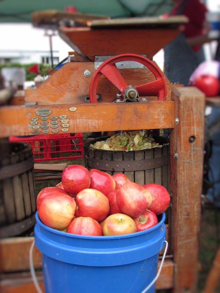 Cider Festivals