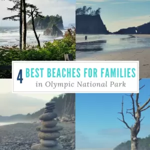 Heading to the beach? Here are the 4 Best Olympic National Park Beaches for Families + Places to Stay Near the Beach