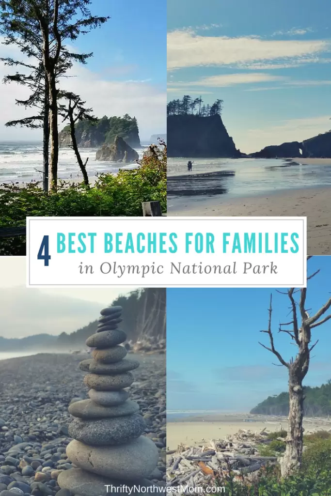 The 4 Best Beaches for Families in Olympic National Park