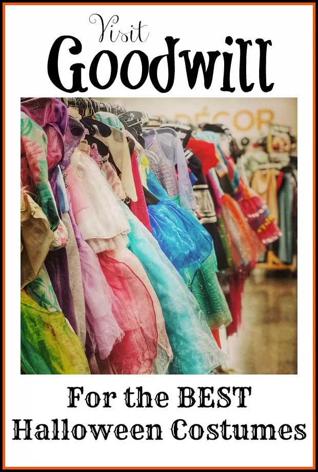 Goodwill Halloween Costume Inspiration + Largest Goodwill Halloween Store!