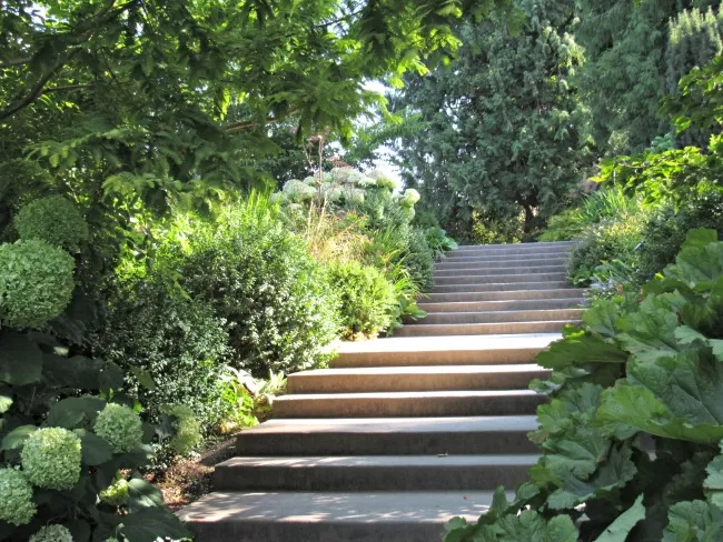 stairs at Bellevue Botanical Gardens