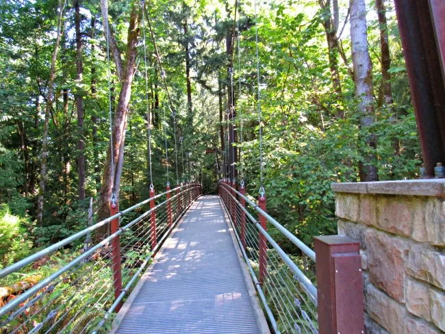 Suspension bridge at Bellevue botanical garden