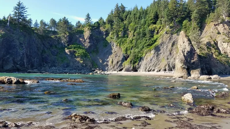 Second Beach has many opportunities for tide pool exploring during low tide to see a variety of marine life