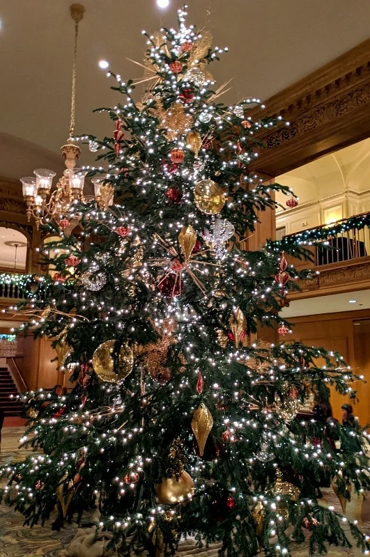 Christmas In Seattle Free & Affordable Fun! Thrifty NW Mom