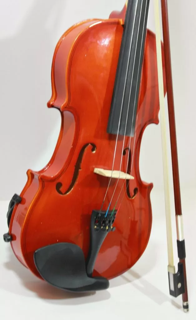 Purchasing a violin on the ShopGoodwill.com site