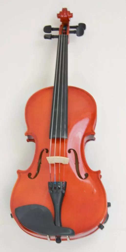 Purchasing violin from online Goodwill site