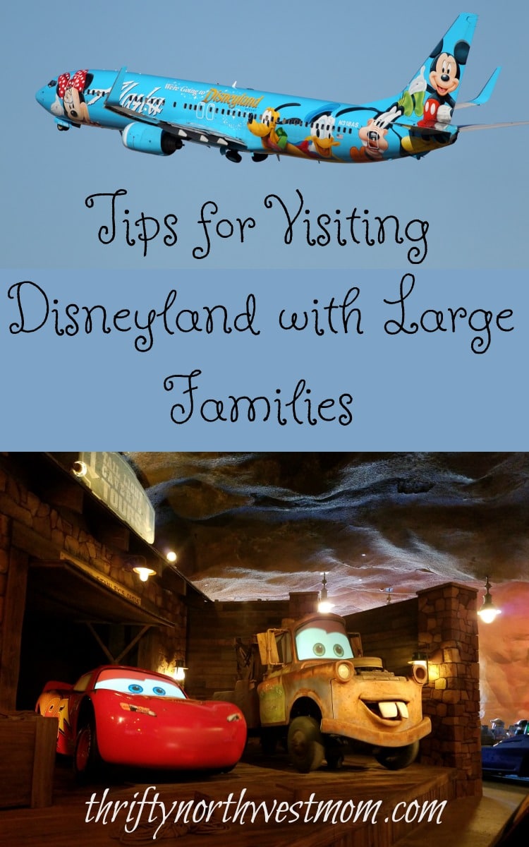 Tips for Visiting Disneyland with Large Families