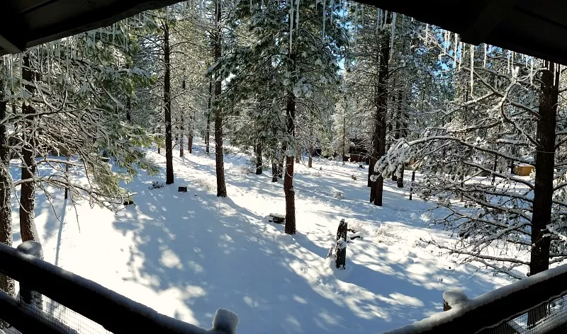 Panaromic Views of the Back Yard from the Upper Deck of Sunriver vacation home