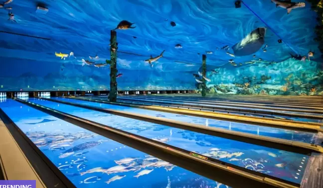 Bass Pro Shop Bowling Discount in Tacoma on Groupon – 36% Off