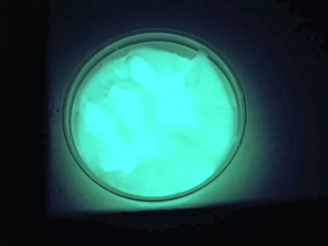 slime that glows in the dark