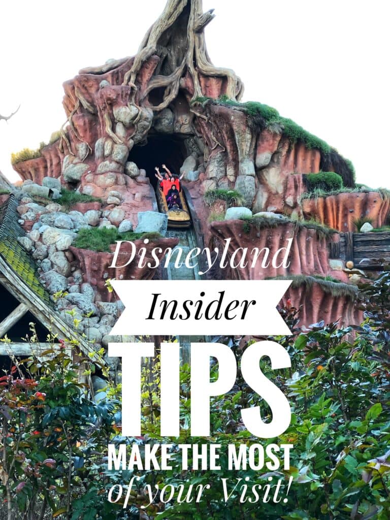 Disneyland Tips 