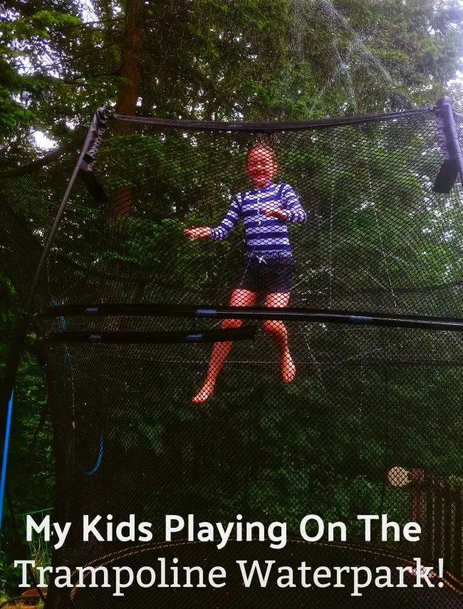 Water Trampoline Sprinklers For Summer Fun!