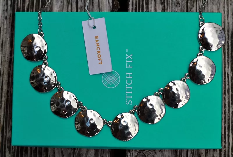 Stitch Fix Silver Necklace