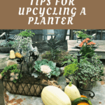 Upcycling a Planter using Thrift Store Finds