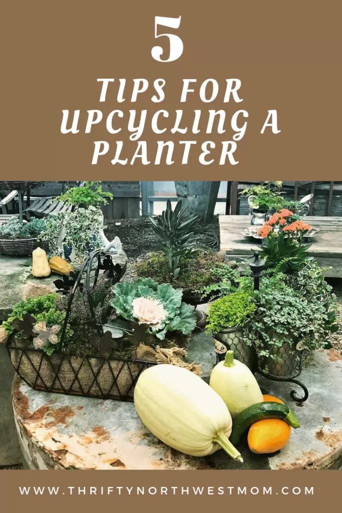 5 Tips for Upcycling a Planter Using Thrift Store Finds